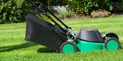 Lawn Care Sydney